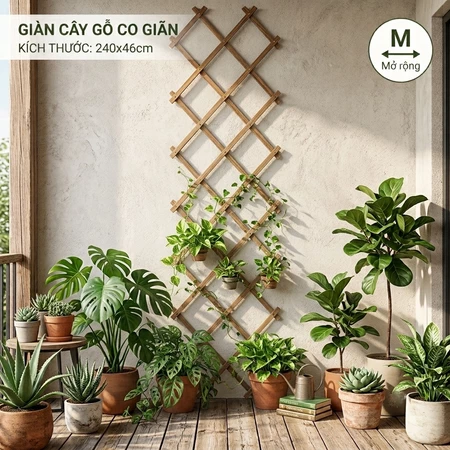 Hàng rào, khung giàn gỗ hỗ trợ trồng cây dây leo dùng để trang trí sân vườn, treo cây ban công chung cư